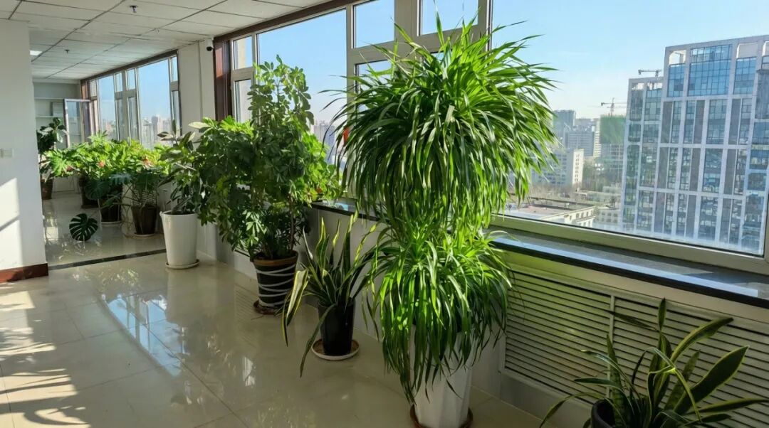 1767504829543.jpg 1767504829543.jpg